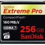 SanDisk